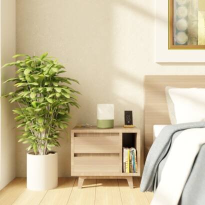 Gallery item