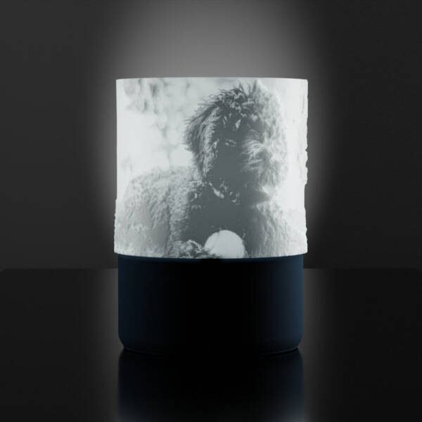 Lámpara Personalizada - Imagen 4